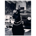 65c5f8ca-3197-427a-8229-d0f654ed0a4d