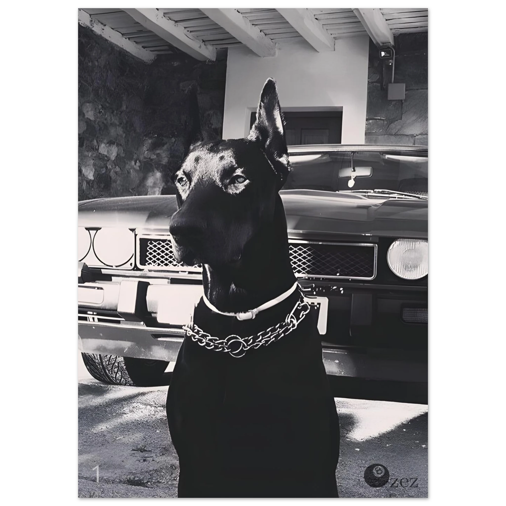 bc5b00a1-bd42-4f89-9d67-21ba9c0eb4b4