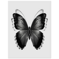 ea699aed-52be-4a21-ae78-de45bfbe796e